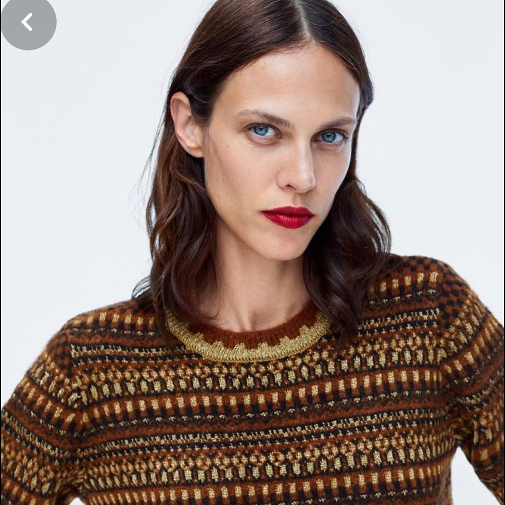 Zara NWT contrasting metallic thread sweater L